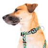 Harness-Mickey-y-Amigos-Green-Small-1-351696202