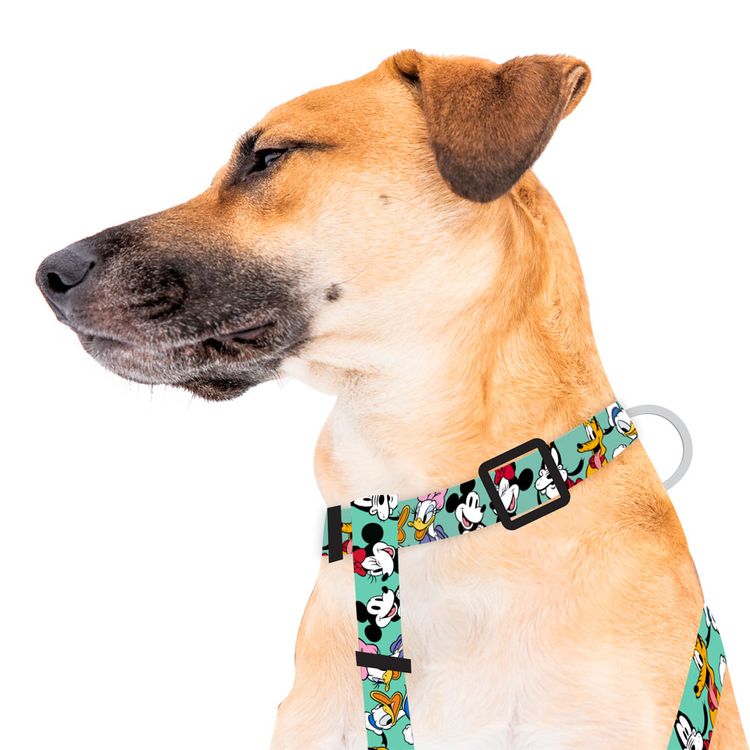 Harness-Mickey-y-Amigos-Green-Small-1-351696202