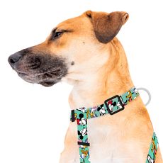 Harness-Mickey-y-Amigos-Green-Medium-1-351696201