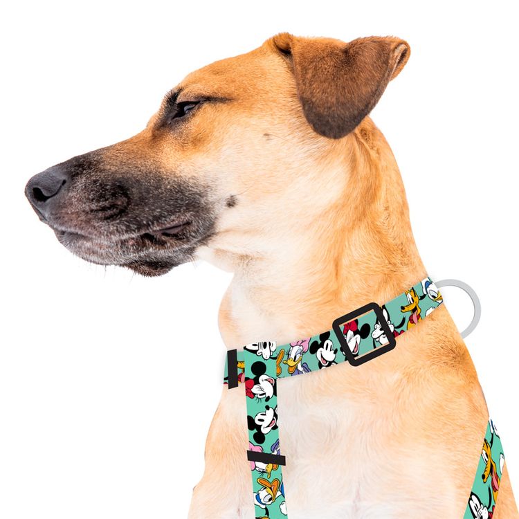 Harness-Mickey-y-Amigos-Green-Medium-1-351696201
