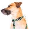 Harness-Mickey-y-Amigos-Green-Large-1-351696204
