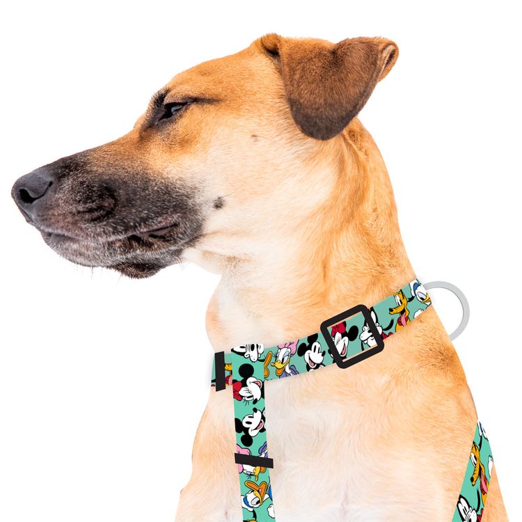 Harness-Mickey-y-Amigos-Green-Large-1-351696204