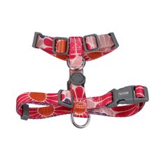 Arnes-Pet-s-Fun-Poli-ster-Pro-Talla-S-Flores-1-351682424