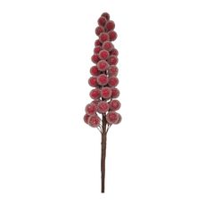 PICK-BERRIES-BOSQUE-NAV25-1-351693414