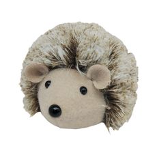 MU-ECO-ERIZO-BOSQUE-NAV25-1-351693466