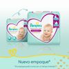 Pa-ales-para-Beb-s-Pampers-Premium-Care-Talla-XG-60un-2-351697315