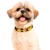 Collar-Toy-Story-Aliens-M-2-351697543