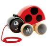 Mariquita-de-Madera-de-Arrastre-Hape-Play-Essentials-2-351698275