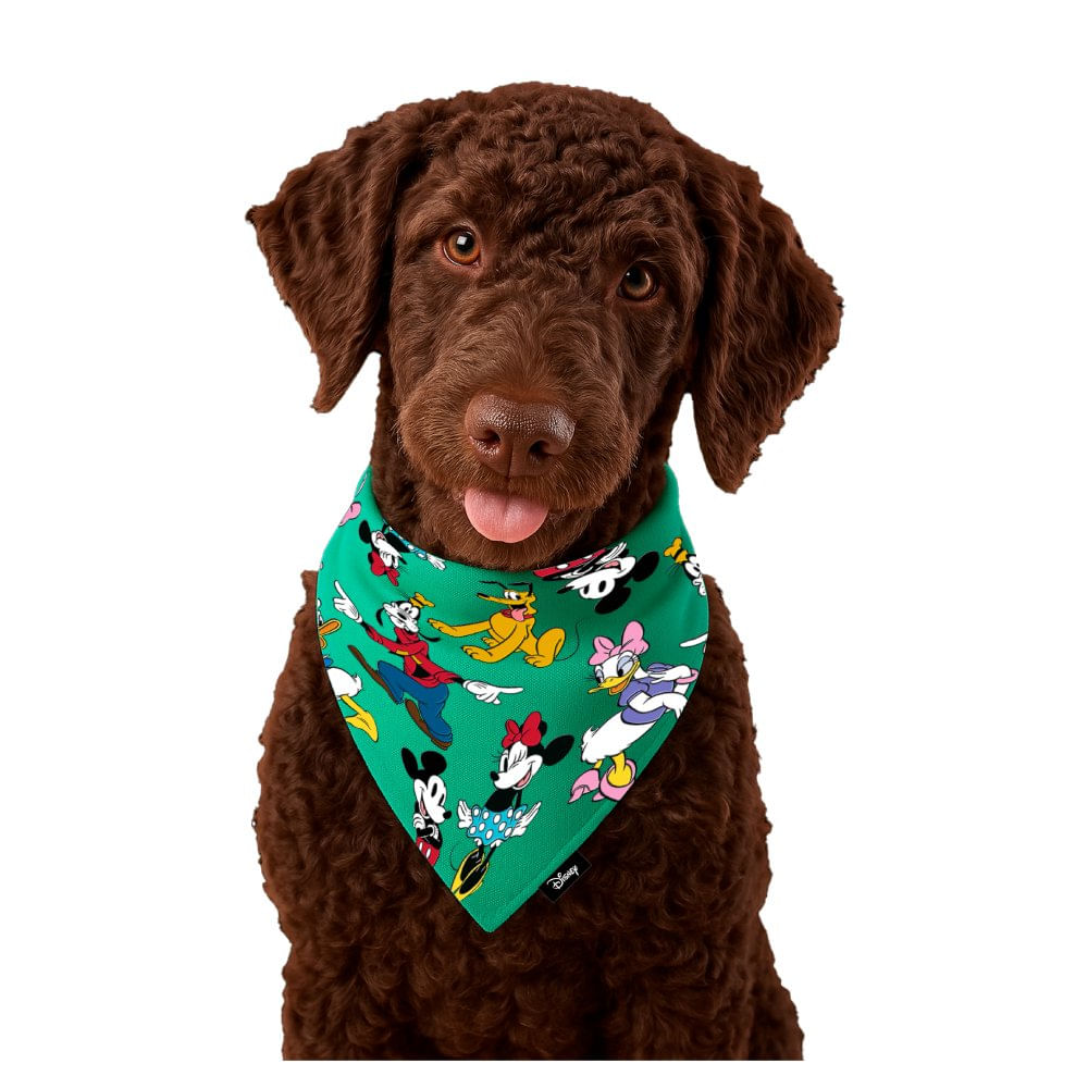 Bandana Rever Mickey Green M