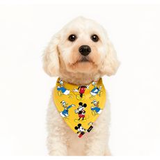 Bandana-Rever-Donald-Yellow-M-1-351697872