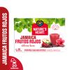 Infusi-n-de-Jamaica-y-Frutos-Rojos-Nature-s-Heart-20un-1-351698666