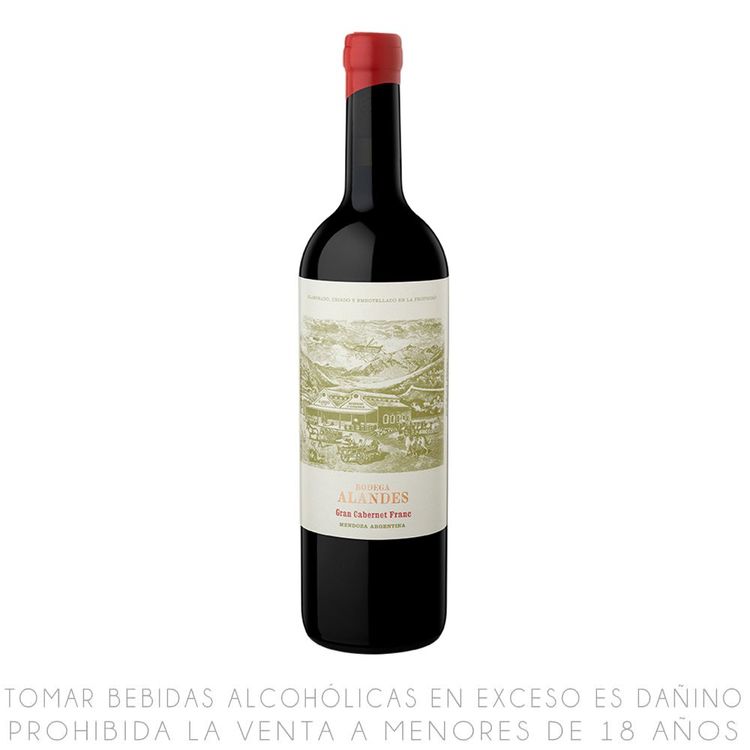 Vino-Tinto-Cabernet-Franc-Alandes-Gran-Cabernet-Franc-Botella-750ml-1-351656185