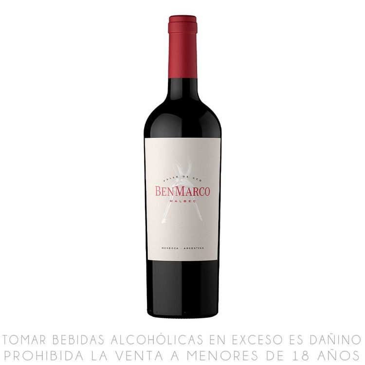 Vino-Tinto-Malbec-BenMarco-Botella-750ml-1-351656238