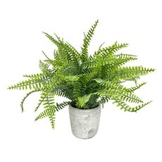 Planta-en-Maceta-Krea-1-1-351690529