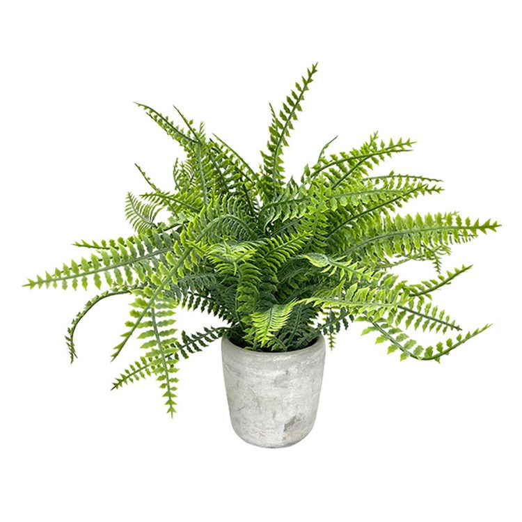 Planta-en-Maceta-Krea-1-1-351690529