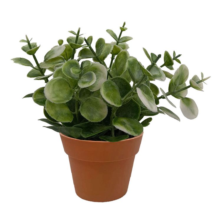 Planta-en-Maceta-Krea-2-1-351690550