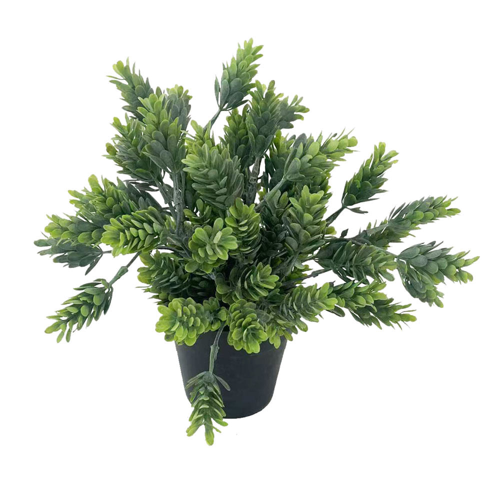 Planta en Maceta Krea 3