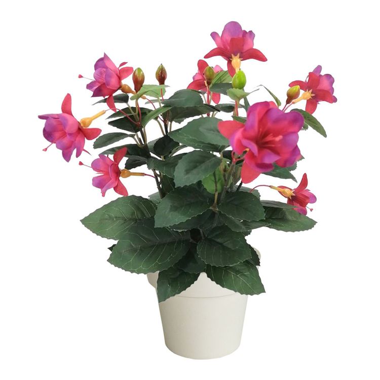 Flores-en-Maceta-Krea-3-1-351690615