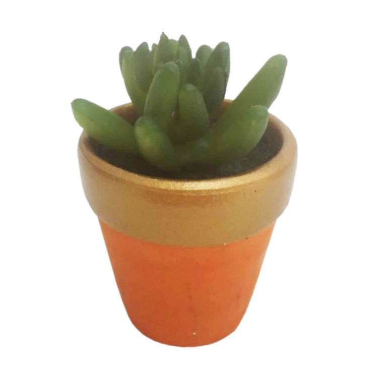 Suculenta-Krea-Sahara-1-351691329