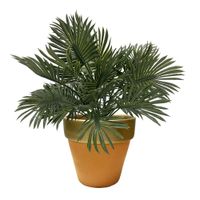 Palmera Krea Sahara