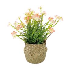 Flor-en-Canasto-Krea-Gran-Jardin-1-351690618