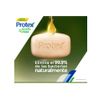 Tripack-Jab-n-en-Barra-Protex-Limpieza-Profunda-110g-2-253