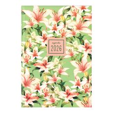 Agenda-Arti-Creativo-Lione-Diario-Negro-1-351649241