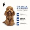 Alimento-Pawner-Dog-Pollo-Cordero-1Kg-4-351700925