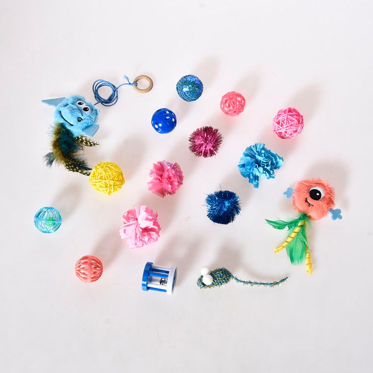 Pack Juguete Pet's Fun Gato 15 Piezas