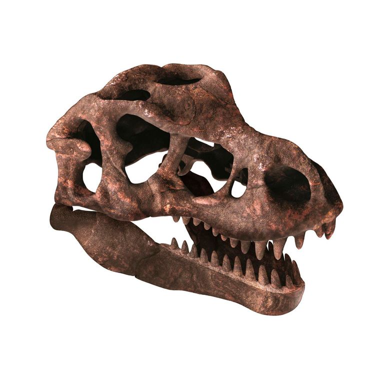 Juego Científico Clemenotni