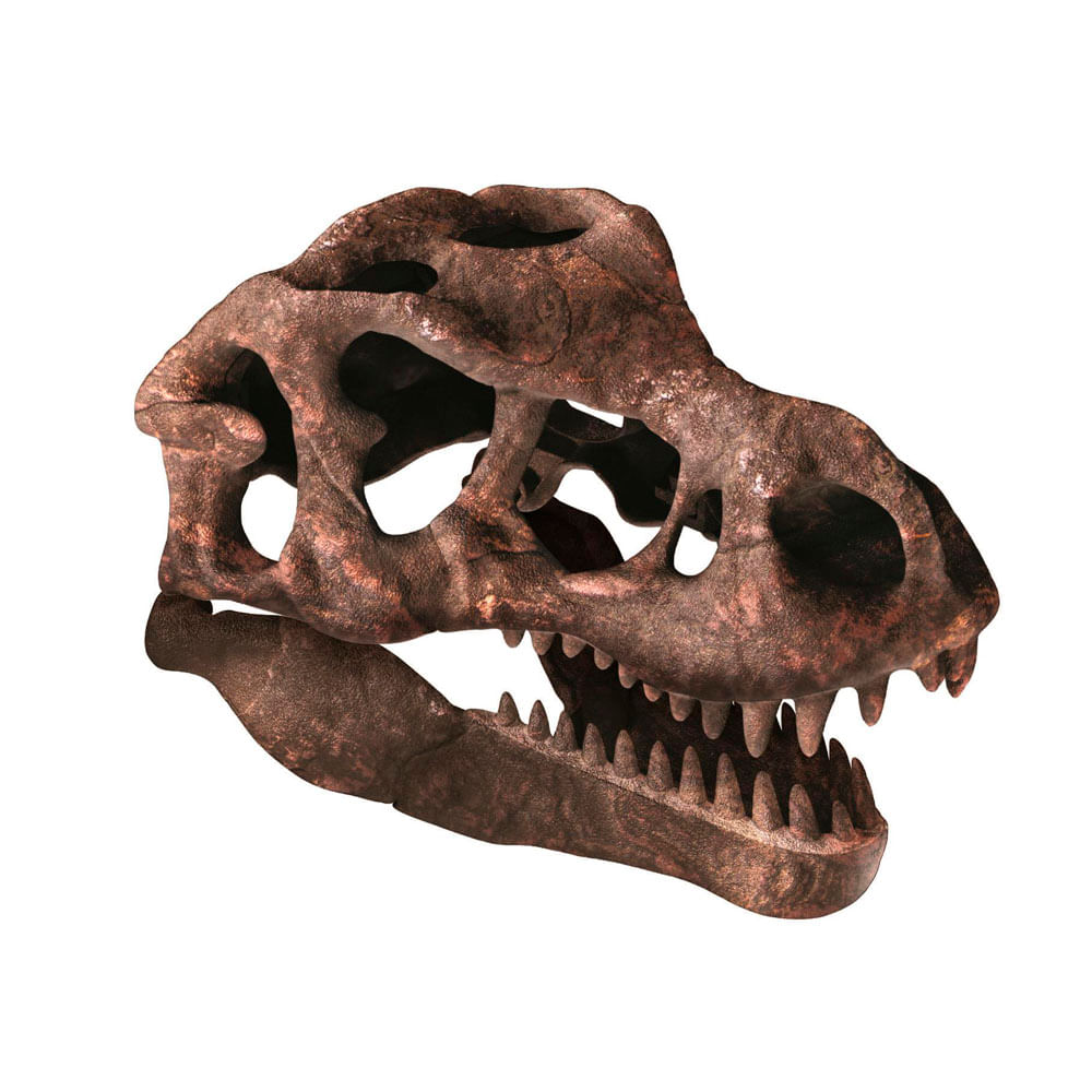 Juego Científico Clemenotni