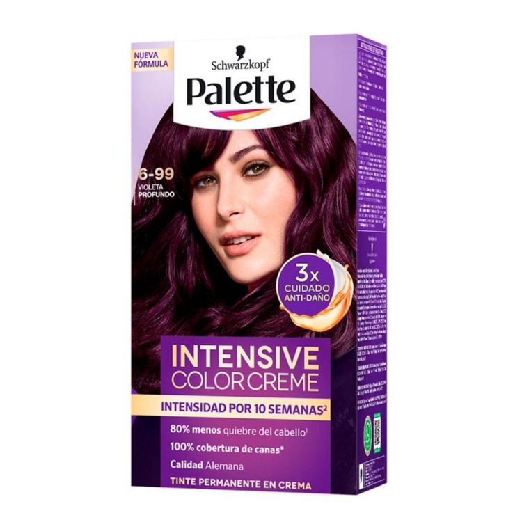 Tinte de Cabello Palette Intensive Color Creme 6-99 Violeta Profundo