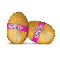 Papaya Tropical x kg