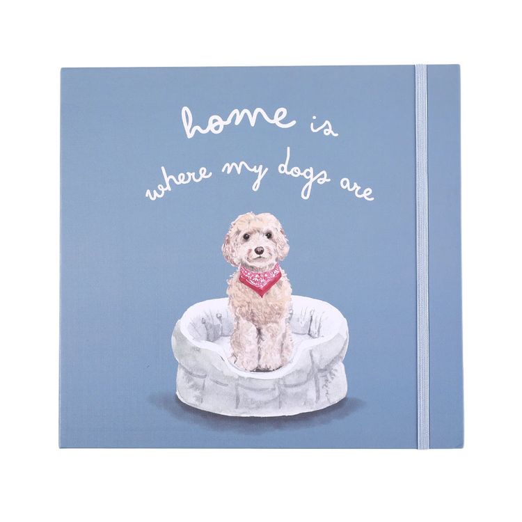 Organizador Semanal Metálico Pets 1un