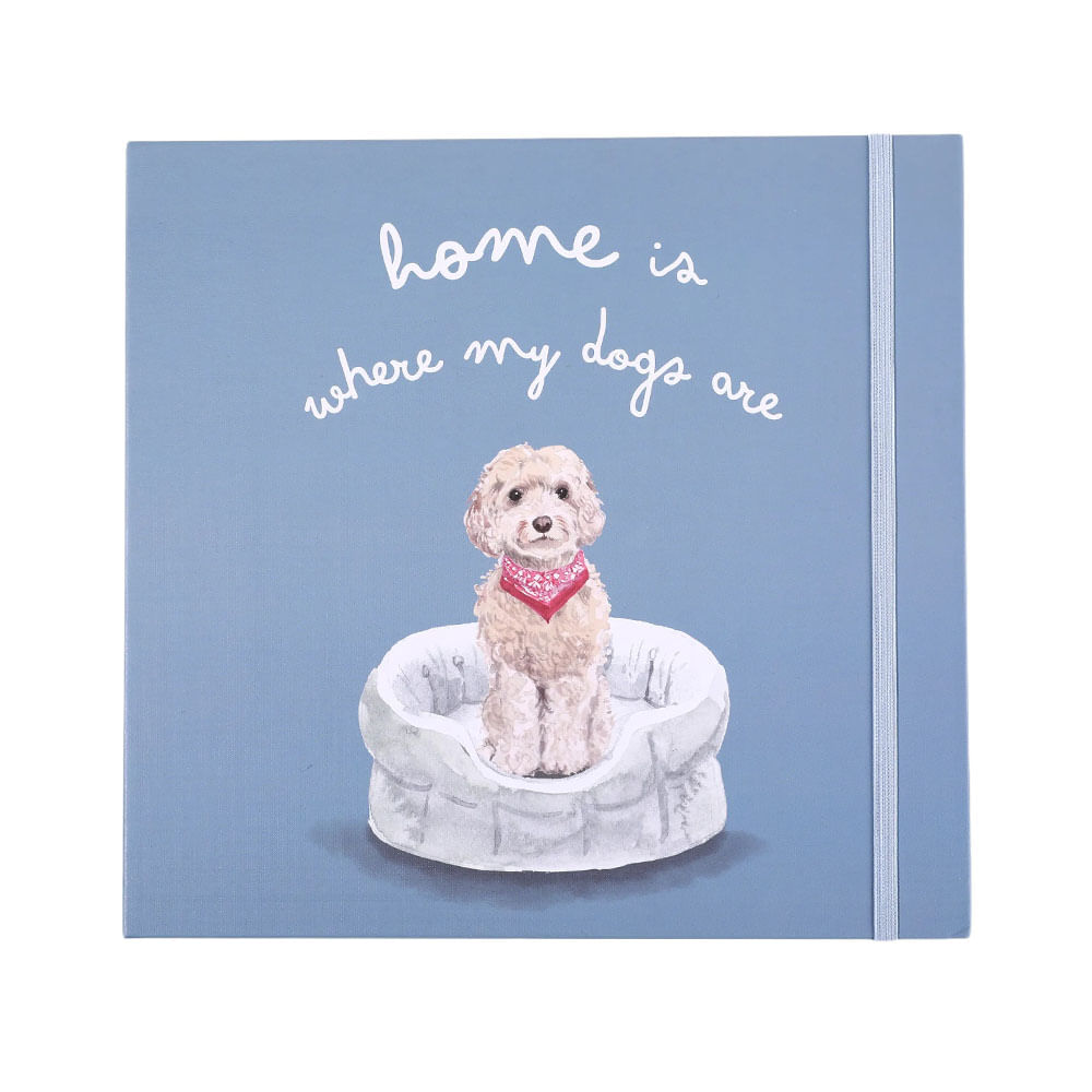 Organizador Semanal Metálico Pets 1un