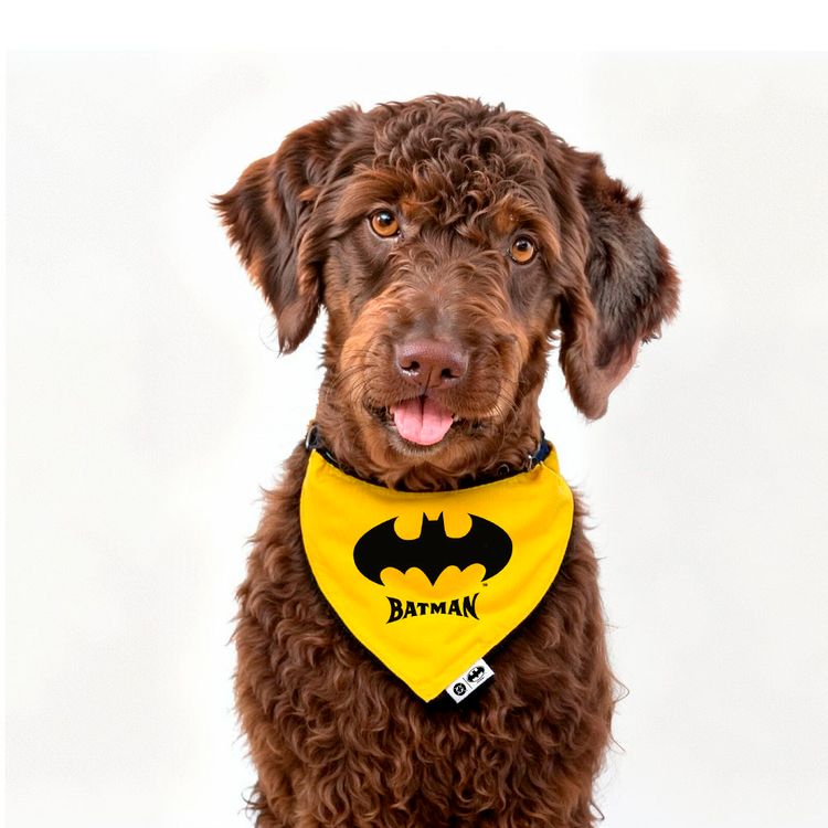 Bandana Rever Collar Batman Yellow L