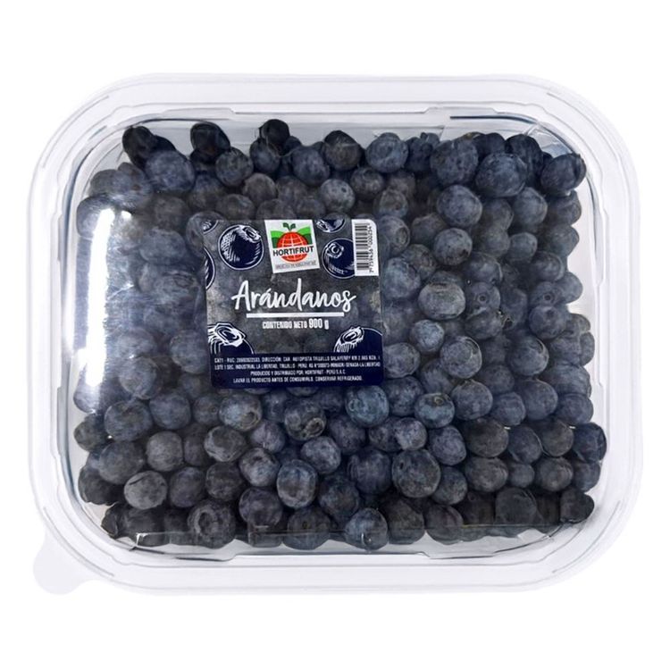 Arándanos Hortifrut 900g