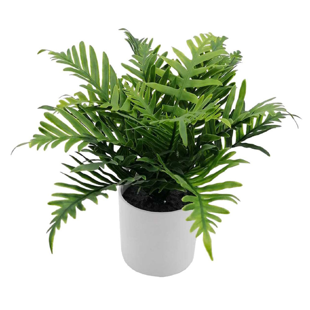 Planta en Maceta M+Design Helecho