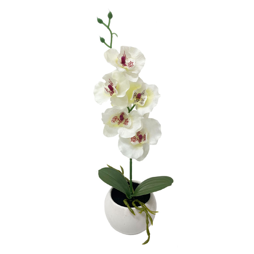 Orquídea Krea en Cerámica
