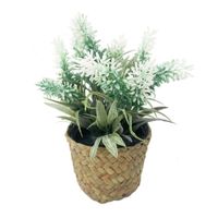 Lavanda Krea Maceta Fibra Surtido