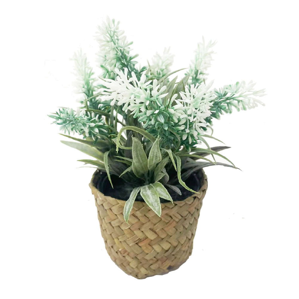 Lavanda Krea Maceta Fibra Surtido