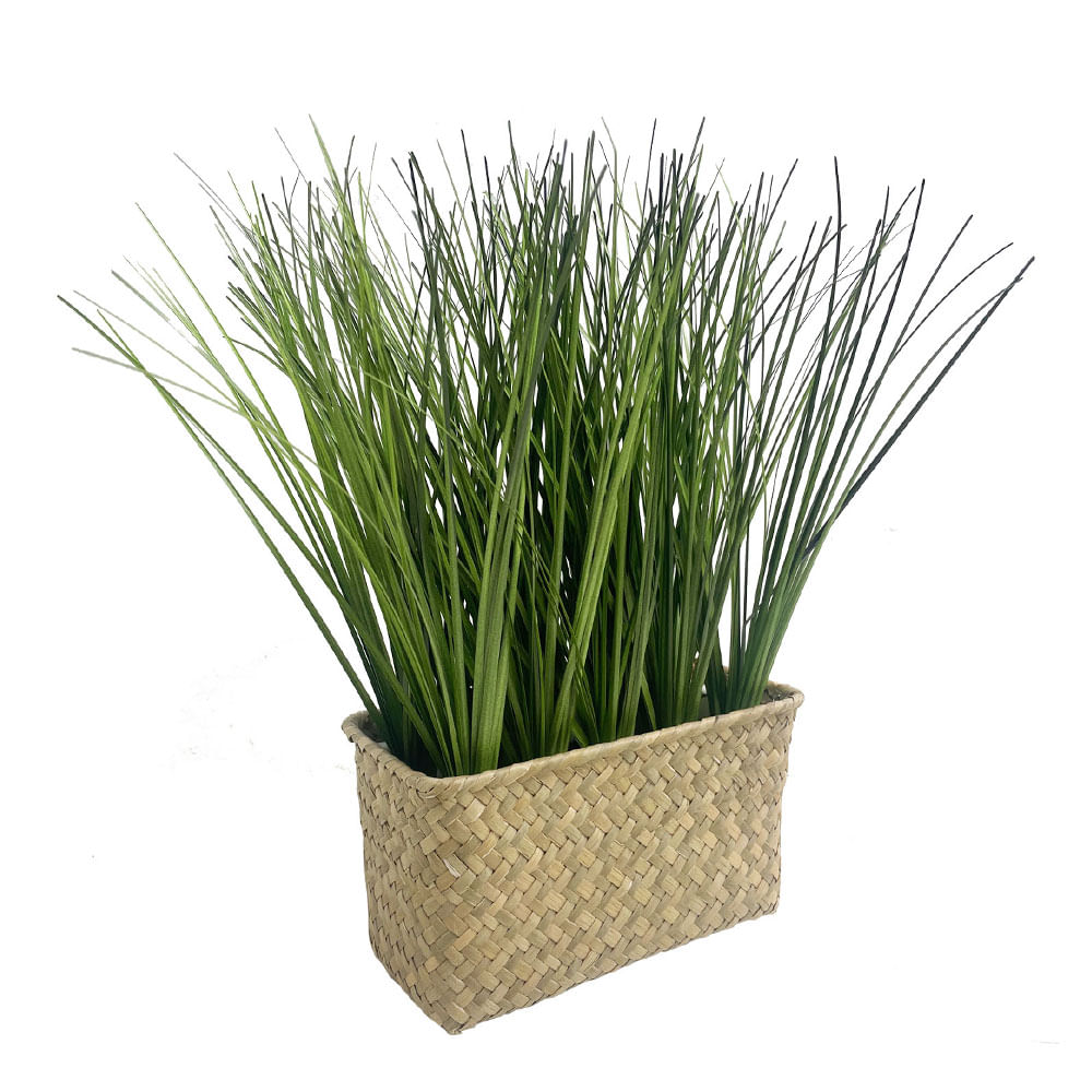 Planta Pasto M+Design Alto en Maceta Fibra