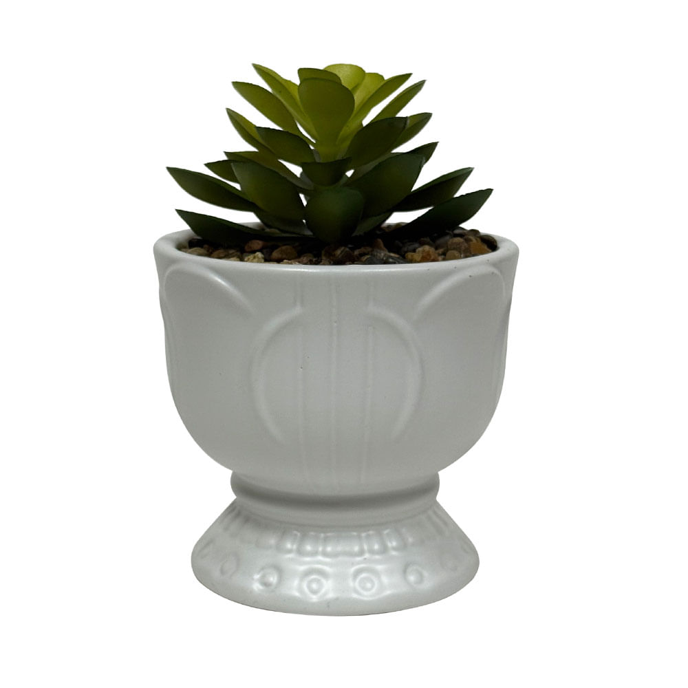 Suculenta Krea en Maceta