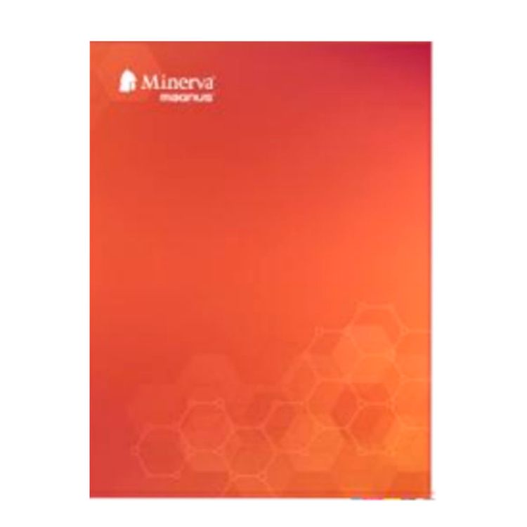 Cuaderno de Luxe Diseño Magnus Minerva 80 Hojas