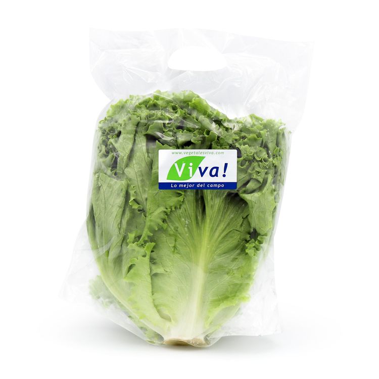 Lechuga Crespa Viva x un
