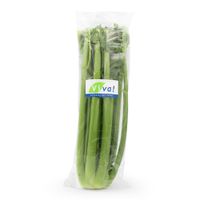 Apio Viva 300g