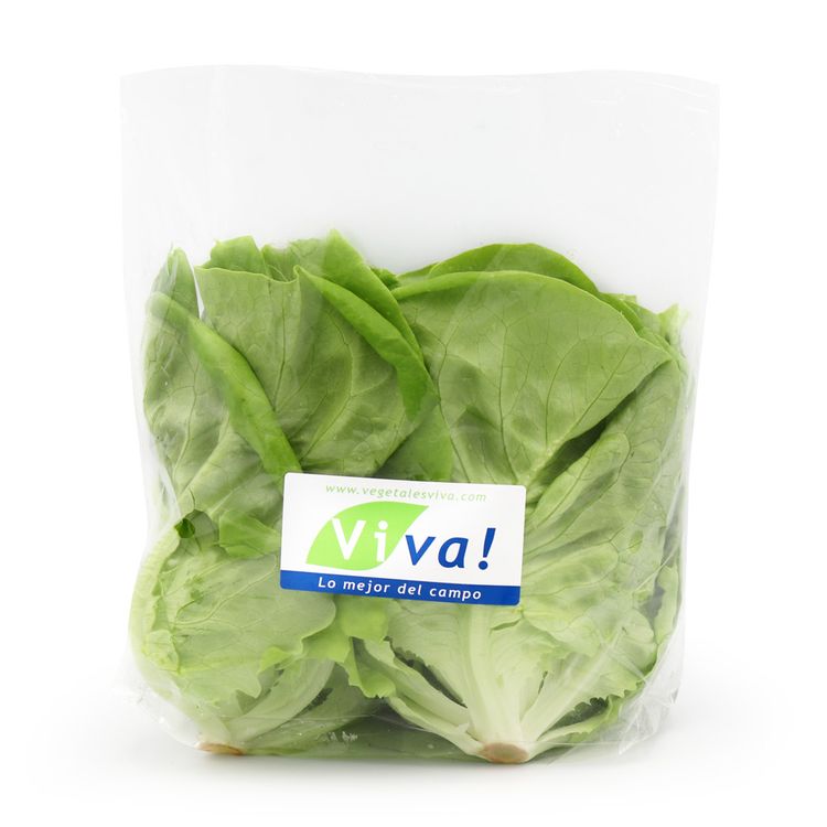 Lechuga Butterhead Viva x un