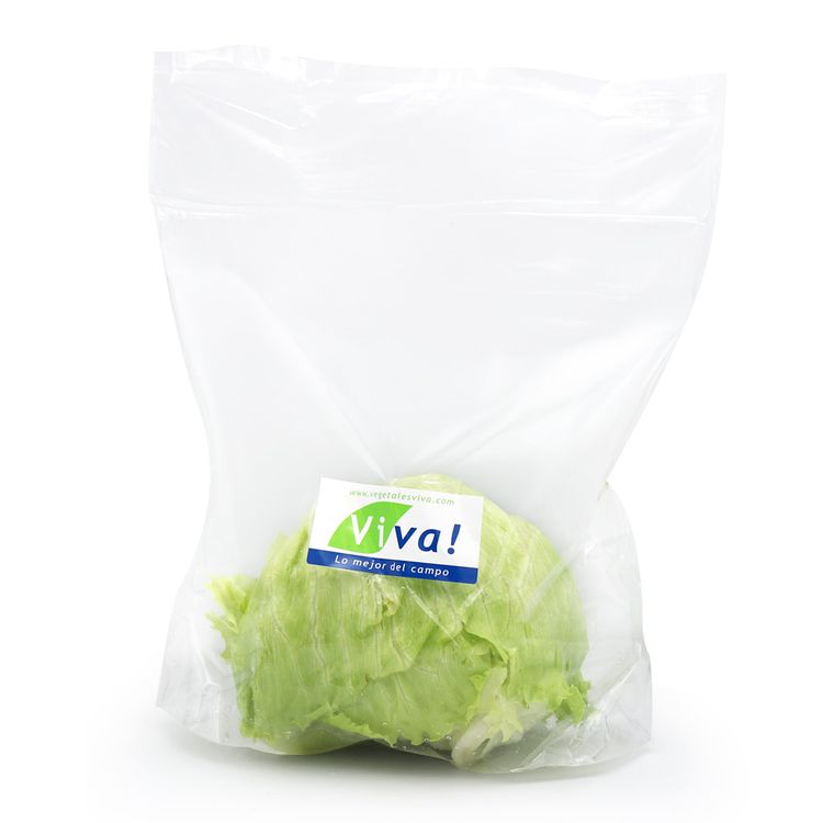 Lechuga Americana Viva x un