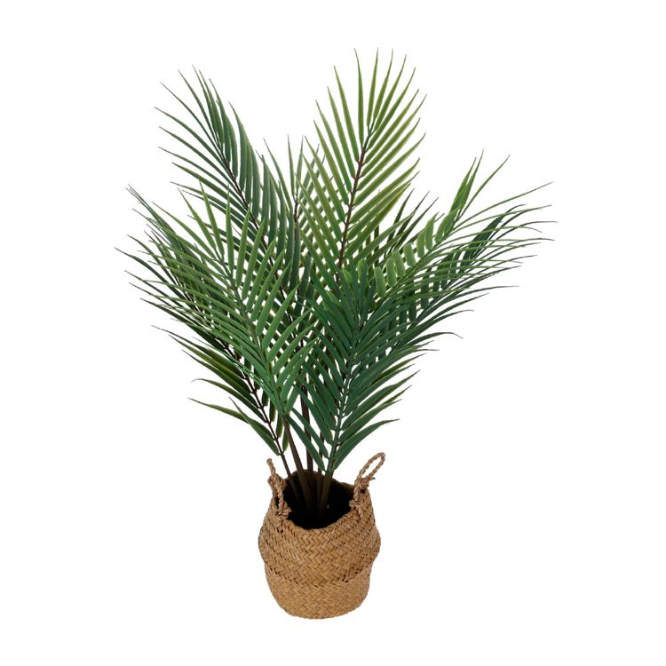 Planta Maceta H&S Collection Pastos Marinos 22x22x64cm Planta Maceta H&S Collection Pastos Marinos 22x22x64cm