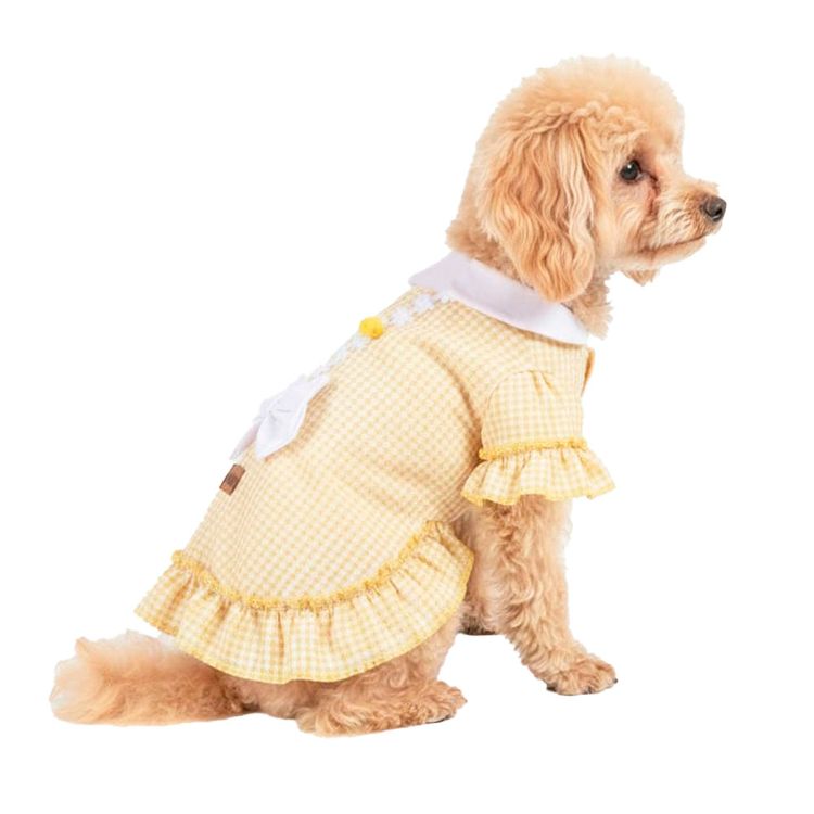 Polo Vestido Yupi The Pug Surtido T2